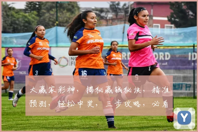 大赢家彩神，揭秘赢钱秘诀，精准预测，轻松中奖，三步攻略，必看
