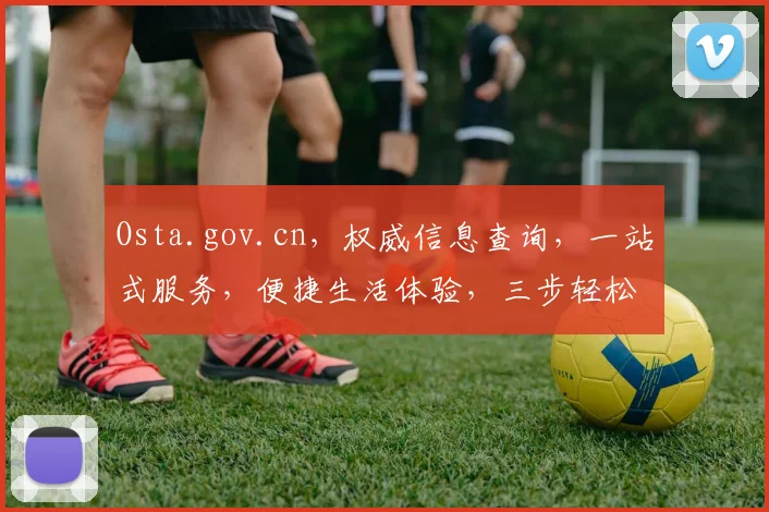 Osta.gov.cn，权威信息查询，一站式服务，便捷生活体验，三步轻松获取